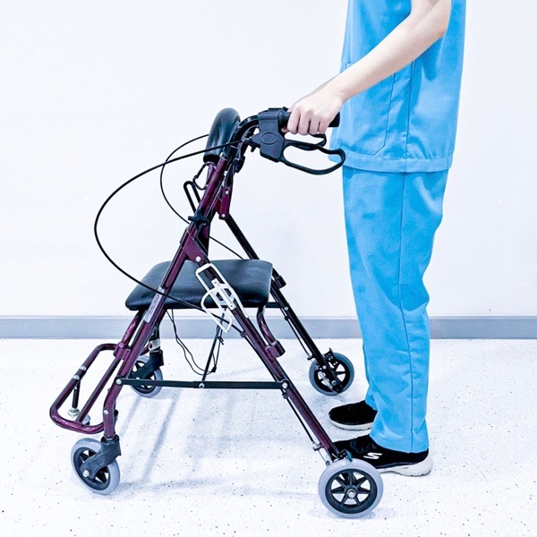 วอล์กเกอร์แบบมีล้อ