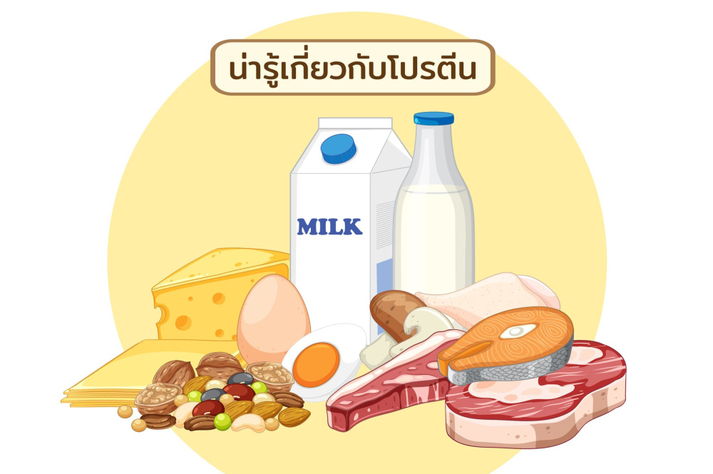 น่ารู้เกี่ยวกับโปรตีน